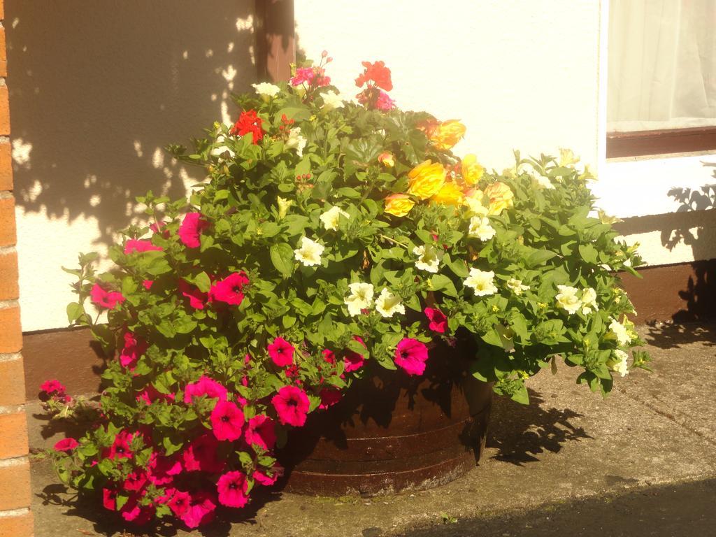 דרוגדה Orley House B&B מראה חיצוני תמונה