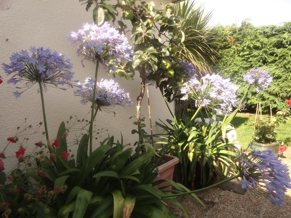 דרוגדה Orley House B&B מראה חיצוני תמונה