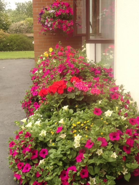 דרוגדה Orley House B&B מראה חיצוני תמונה