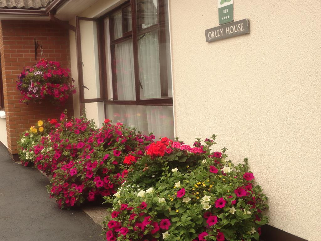 דרוגדה Orley House B&B מראה חיצוני תמונה
