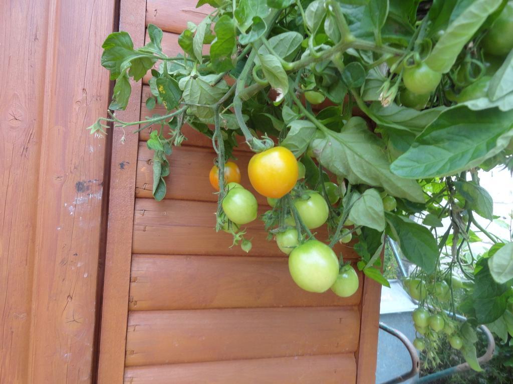 דרוגדה Orley House B&B מראה חיצוני תמונה